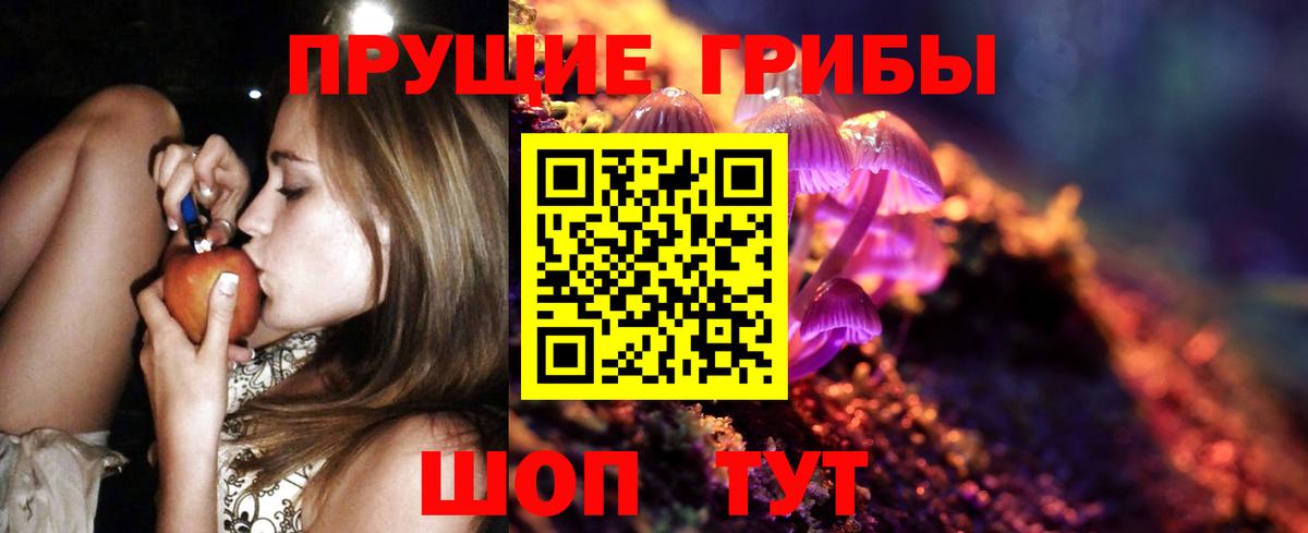 Галлюциногенные грибы Psilocybe  Вход с VPN  Зеленокумск 